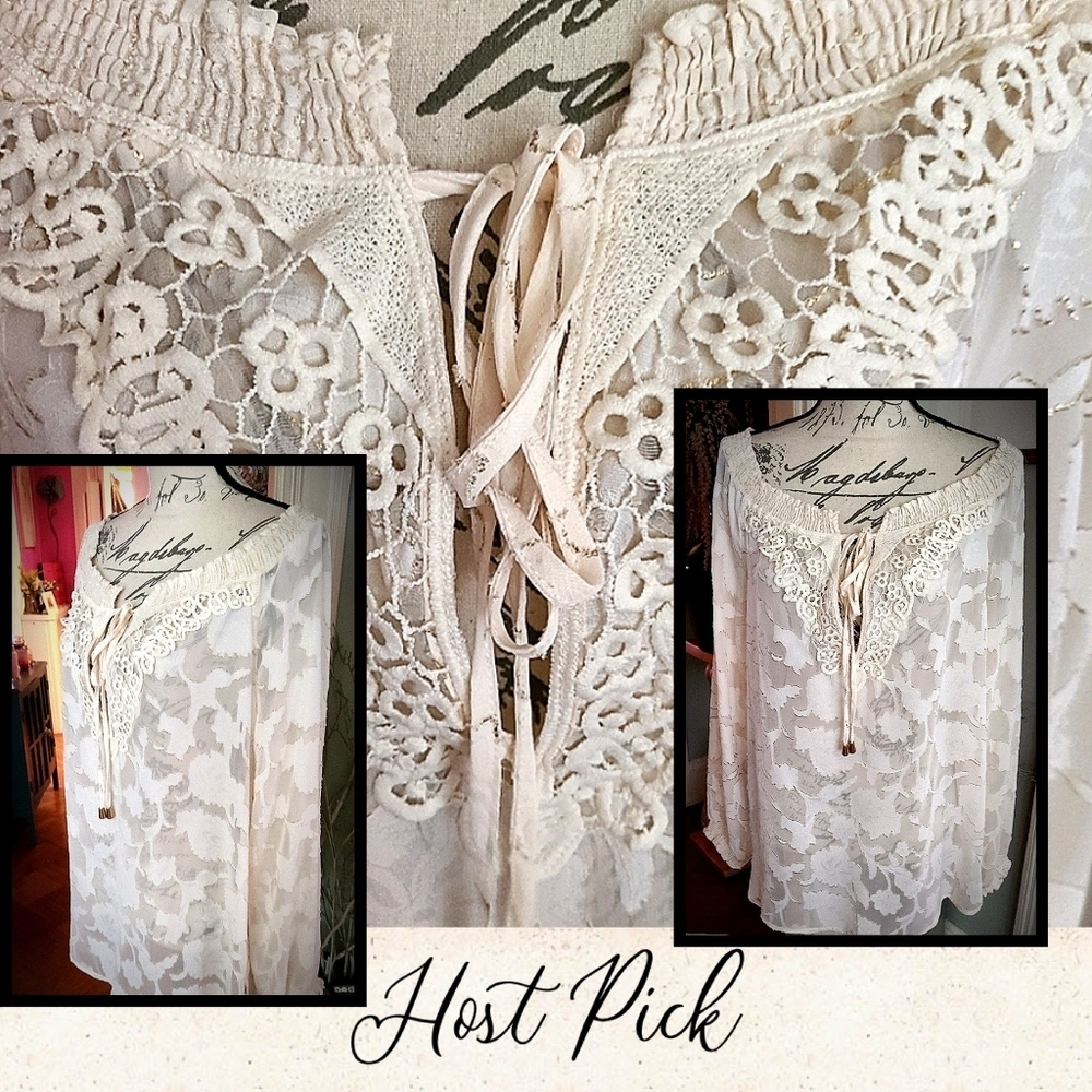 Nwt Host Pick🔥🔥🔥New gorgeous lacy sheer top